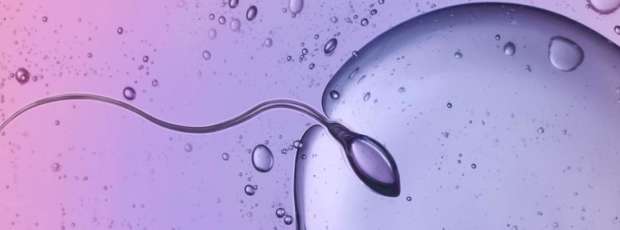 IUI | Inseminación Intrauterina